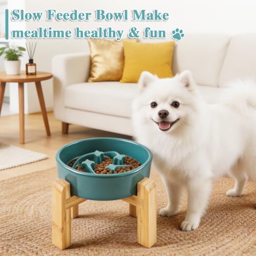 6.3” Elevated Slow Feeder Dog Bowls (Dark Green-M)