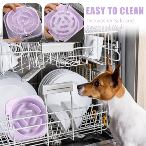 Slow Feeder Dog Bowls for Medium Dogs & Cats (Medium / Purple)