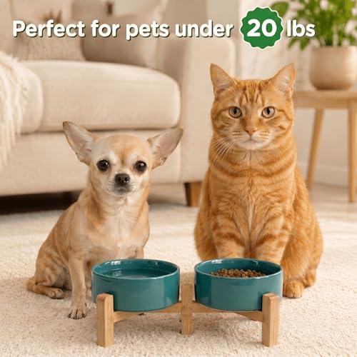 Elevated Dog Bowls Ceramic (5.1 in - 1.7 cups / Dark Green)