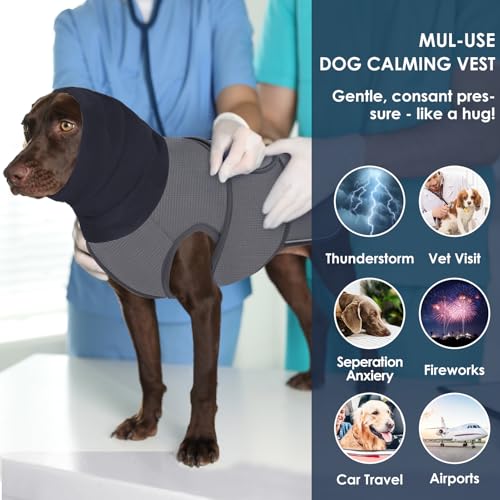 Dog Anxiety Vest (Grey / Large)