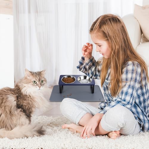Upgraded Elevated Cat Bowls with Food Mat