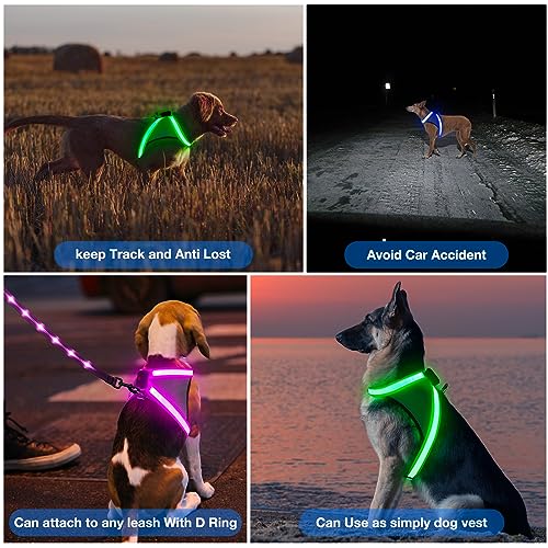 Light Up Dog Harness (Small / Blue)