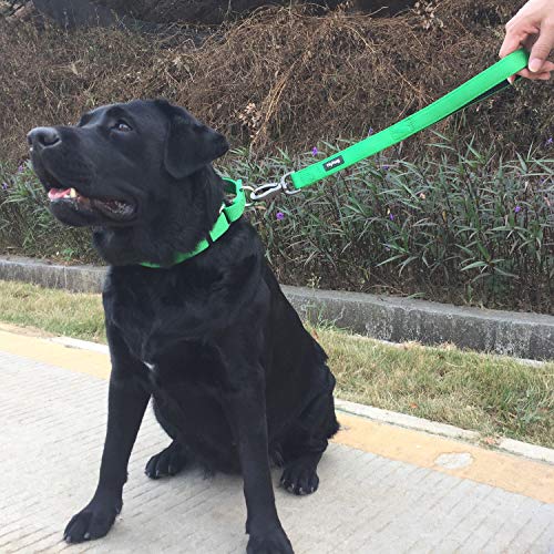 Short Dog Leash 18" (Lime Green / 18 Inches)