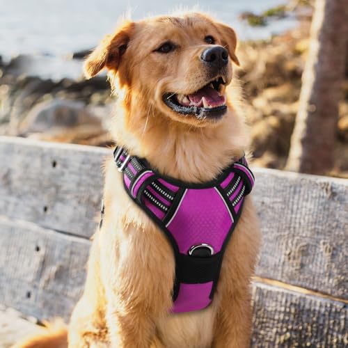 Dog Harness for Large (Purple / X-Large)