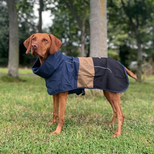 Dog Raincoat Waterproof Rain Jacket w (Blue Gold Black / Large)