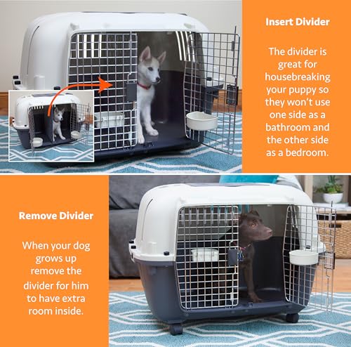 SportPet Airline Compliant 2 (Cream/Gray)