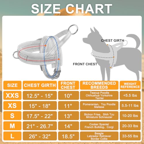 Small Dog Harness and Leash Set (Grey / S: Chest 17.5"-22")