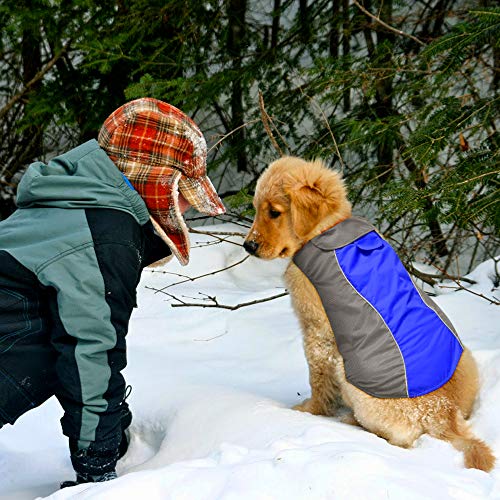 Dog Raincoat Waterproof Coats (Blue-L)