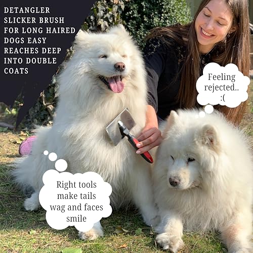 Dog Slicker Brush (8 Inch x 4.8)
