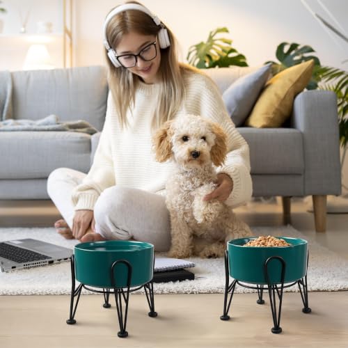 Elevated Dog Bowls (Green / 3.6 Cups | 2 Pack | For Medium Dogs)