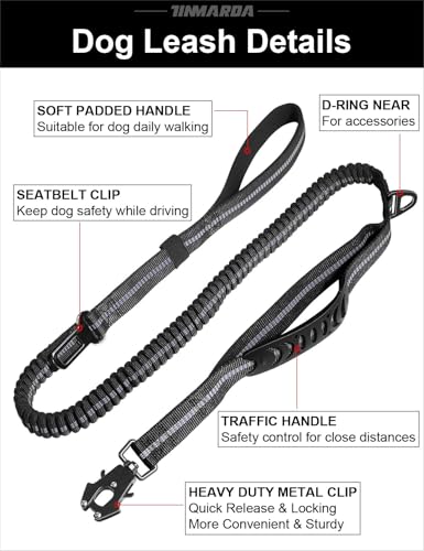 Heavy Duty Dog Leash (Black)