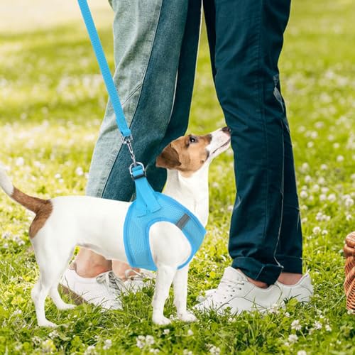 Dog Harness Collar and Leash Set No Pull for Small Medium Sized (Solid LightBlue / M (CHEST 16"-18"))