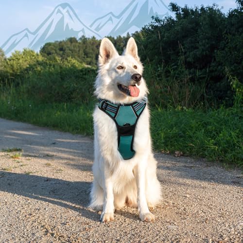 Dog Harness for Large Dogs (X-large / Dark Green)