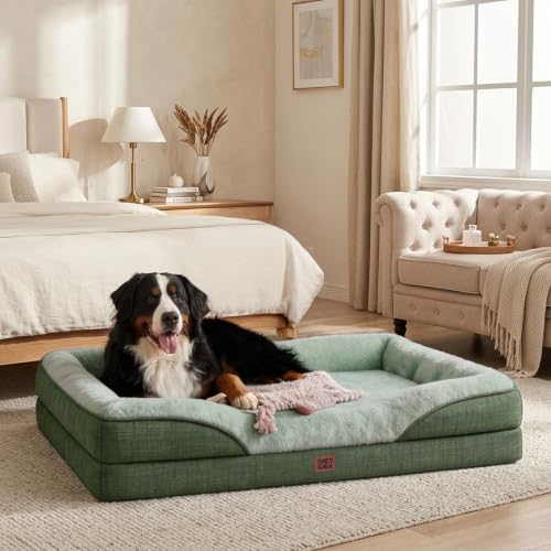 Orthopedic Dog Bed for Large Dog (Green / 41x27x7.5)