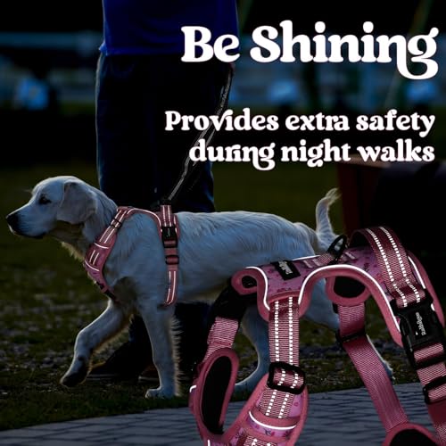 Dog Harness Medium Sized (Medium / Floral Pink)