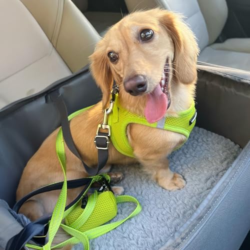 Voyager Step in Air All Weather Mesh Harness and Reflective Dog 5ft Leash Combo with Neoprene Handle (Lime Green / XL (Chest: 20.5 - 23"))