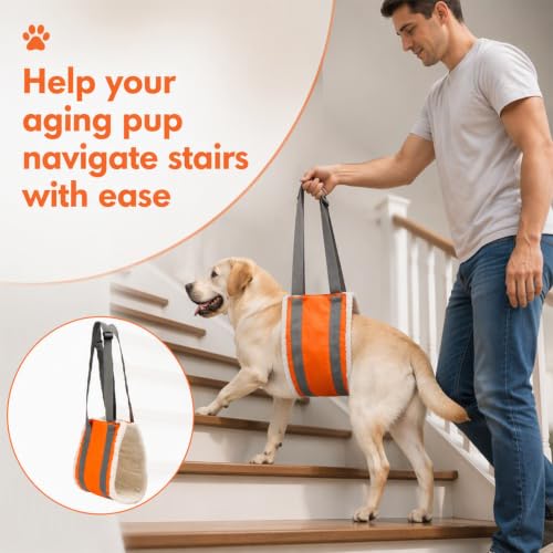 20 150lb Dog Sling for Large Dogs Hind Leg Support (Orange)