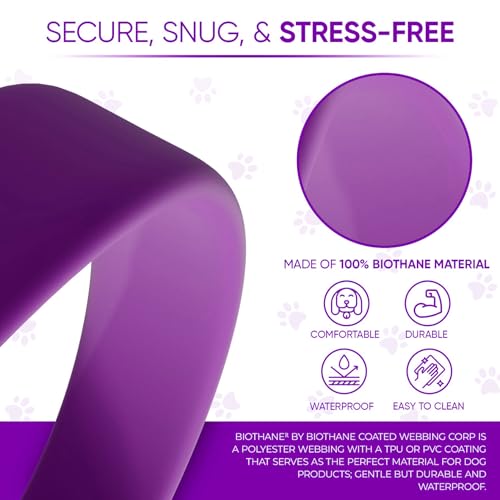 Dog Grooming Loop (Purple)