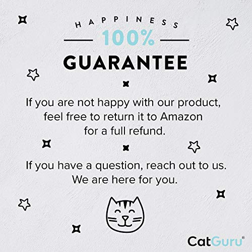 Cat Bowls Whisker Friendly Food Bowl for Indoor Cats (Dish - Set of Two / Sand)