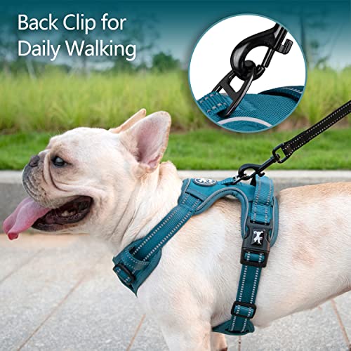 No Pull Dog Harness (Large / Tumalo Teal)