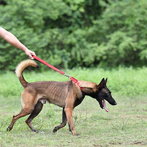 Short Dog Leash 18" (Red / 18 Inches)