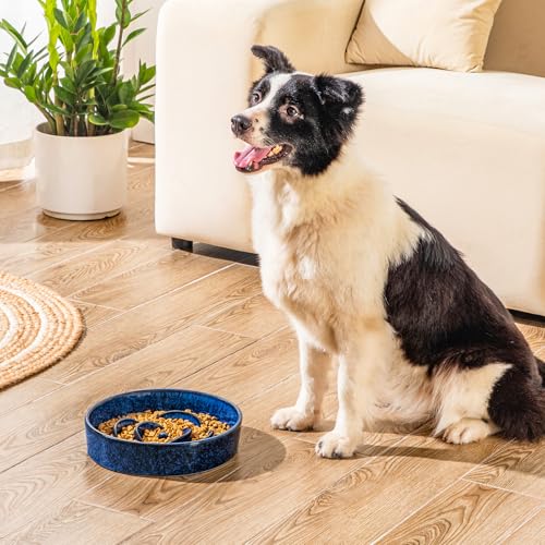 Slow Feeder Dog Bowl (L - 3 Cups / Blue)