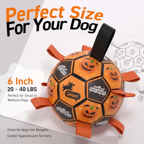 Halloween Dog Toys (Halloween / 6 Inch)