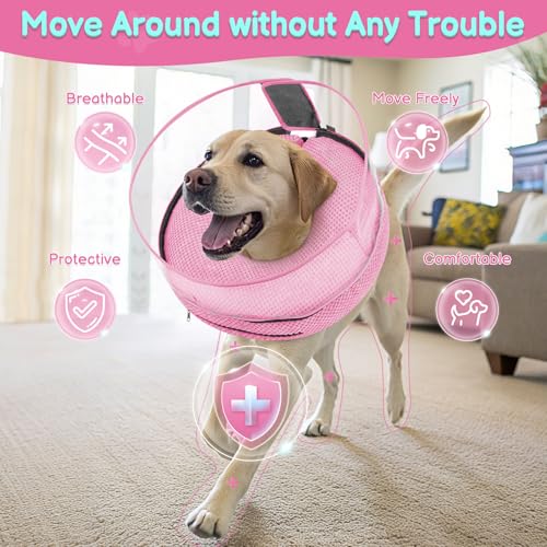 Inflatable Dog Cone with Clear Shield for Added Coverage (Pink / M (Neck: 8"-11"))