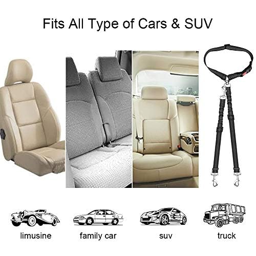 Double Dog Car Seat Belt (Black-Detachable)
