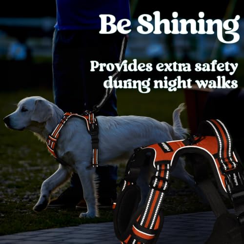 Dog Harness Medium Sized (Medium / Orange)