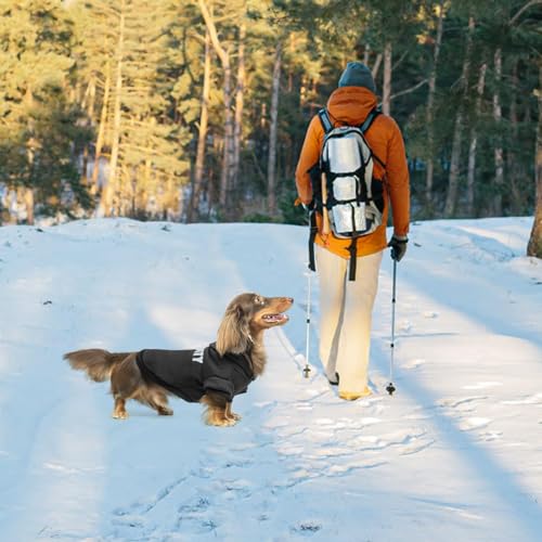 Security Dog Hoodie (#1 Black(Security) / Large (Dachshund Recommend))