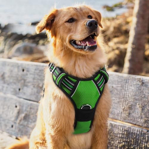 Dog Harness for Large (Green / X-Large)