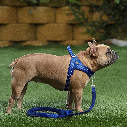 No Pull Dog Harness for Medium Sized Dog (M: chest 19.7"-25.2" / Navy Blue)