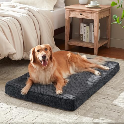 Orthopedic XL Dog Bed for Large Dogs (XL(41"x27") / Grey)