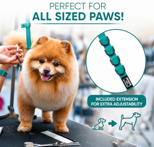 Dog Grooming Loop (Teal Green)