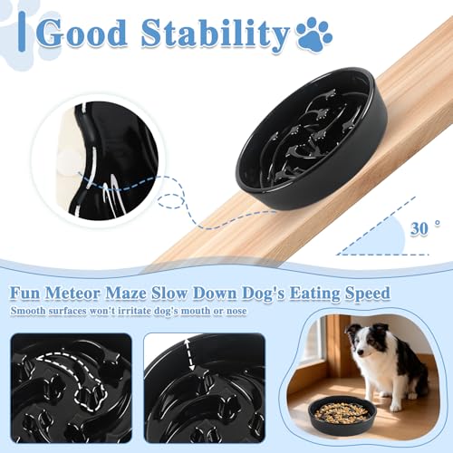 Ceramic Slow Feeder Dog Bowls (Black-L)