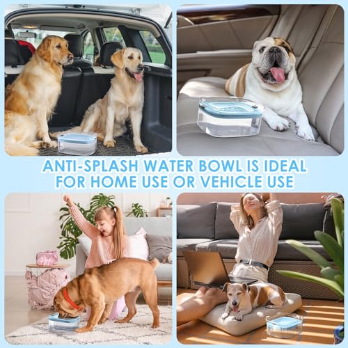 3L Dog Water Bowl No Spill (Sky Blue)