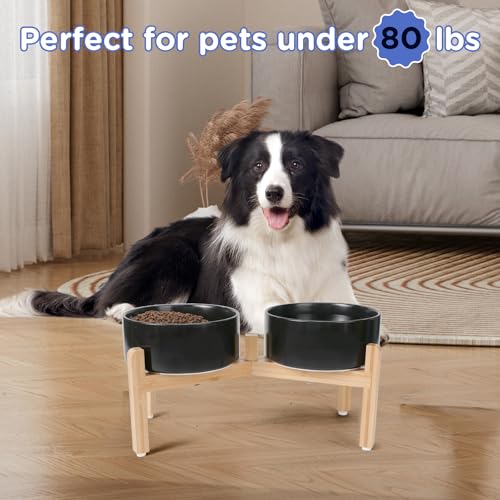 Elevated Dog Bowls Ceramic (7.3 in - 5.3 cups / Black)