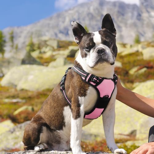 Dog Harness for Medium Sized Dogs (Medium / Pink)