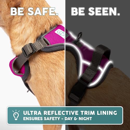 Embark No Pull Dog Harness (XL / Pink)