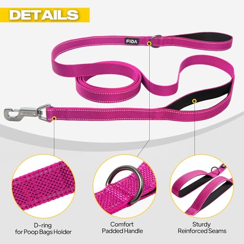 10 FT Heavy Duty Dog Leash (10 Feet (Pack of 1) / Rose)