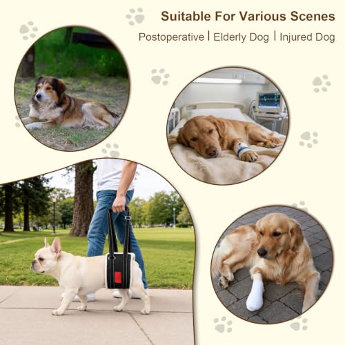 Dog Lift Harness (XS)
