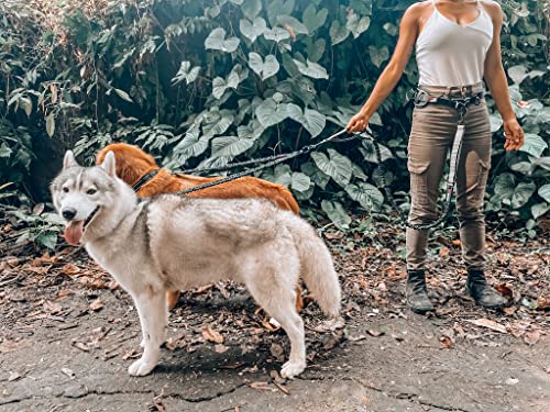Heavy Duty Hands Free Bungee Dog Leash