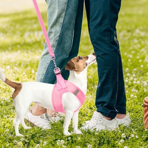 Dog Harness Collar and Leash Set No Pull for Small Medium Sized (Solid LightPink / S (CHEST 14.5"-16"))