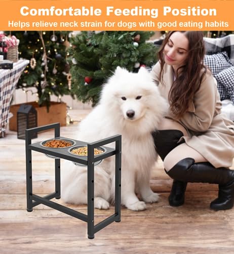 Elevated Dog Bowls Stand with 2 Stainless Steel Bowls (Matte black)