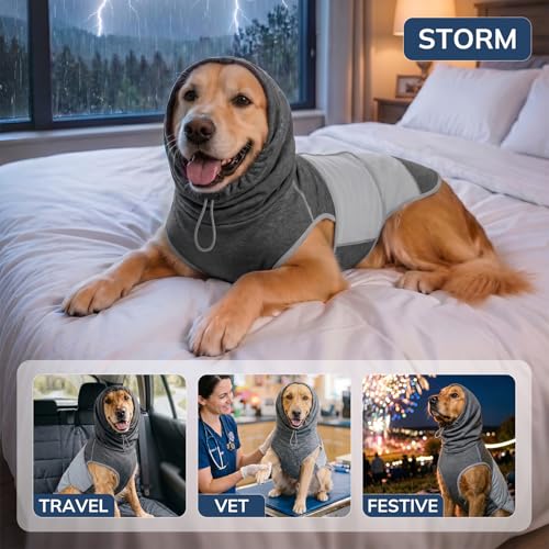 Dog Thunder Vest (Black / S)