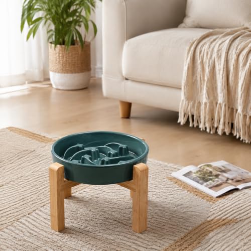 Ceramic Slow FeederDog Bowl for Medium Large Dogs (Stars mark-Forest Green / 8.66in)