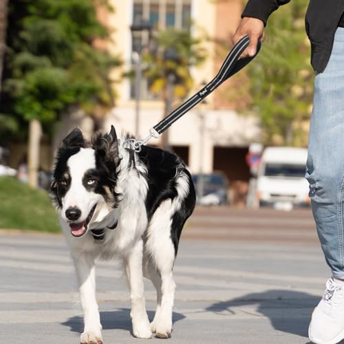 Reflective Short Dog Leashes 3 Pack for Walking and Training (Black / 1FT+1.5FT+2.5FT)
