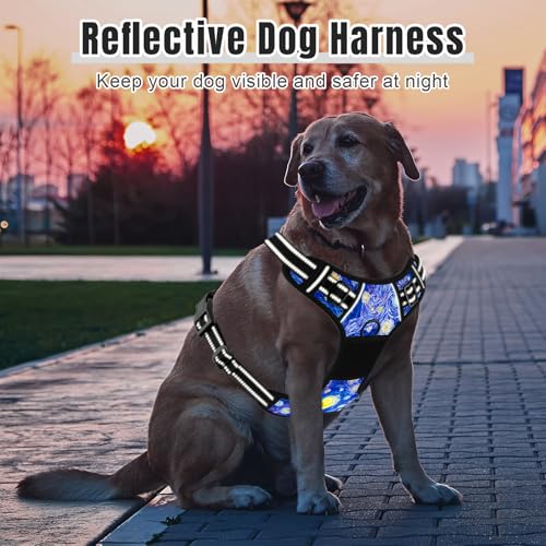 No Pull Dog Harness (Van Gogh Starry Night / Small)