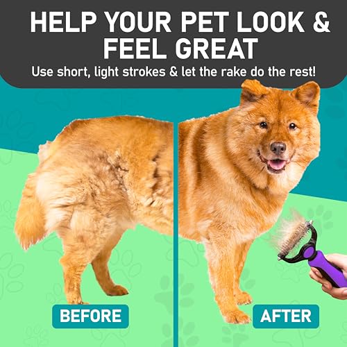 Pet Grooming Brush (Purple / L)